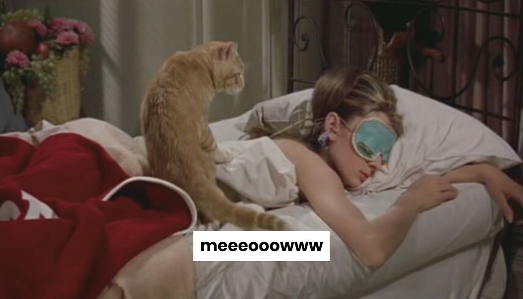 Ces objets du quotidien qu’on n’achète qu’une fois… et qu’on garde des années