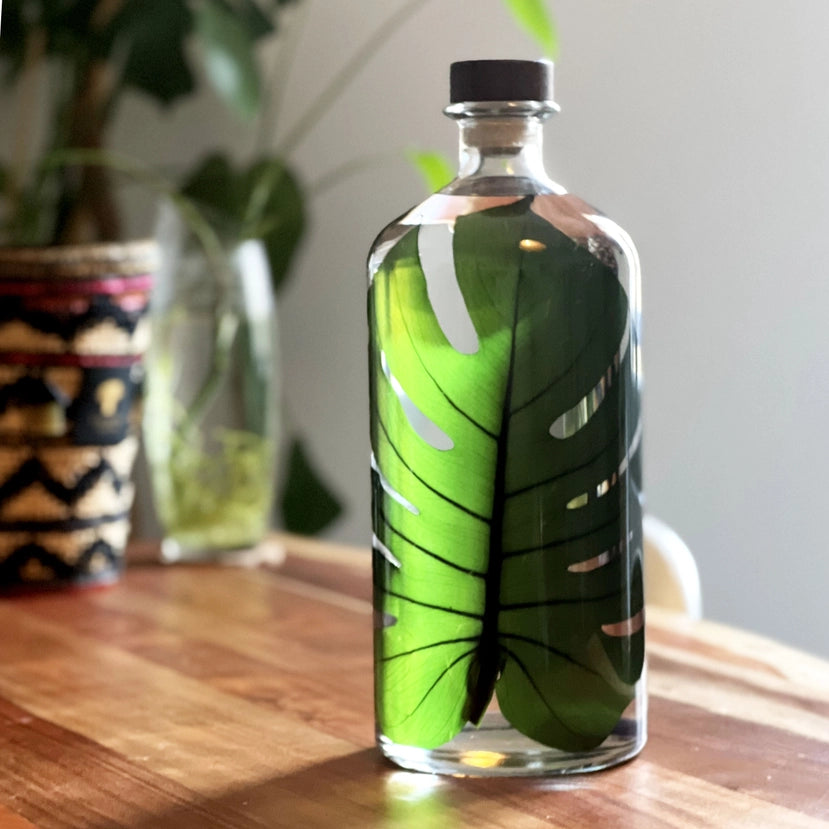 Monstera immergée – Jarre XL