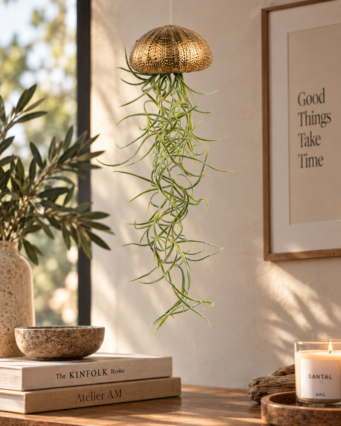Hanging aerial plant – Sea urchin