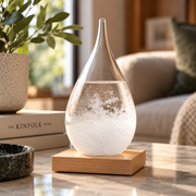 Storm glass – FitzRoy barometer