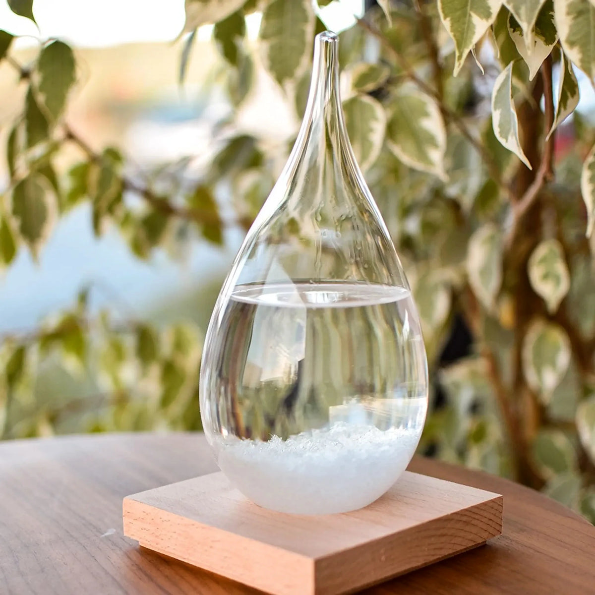 Storm glass – Baromètre de FitzRoy