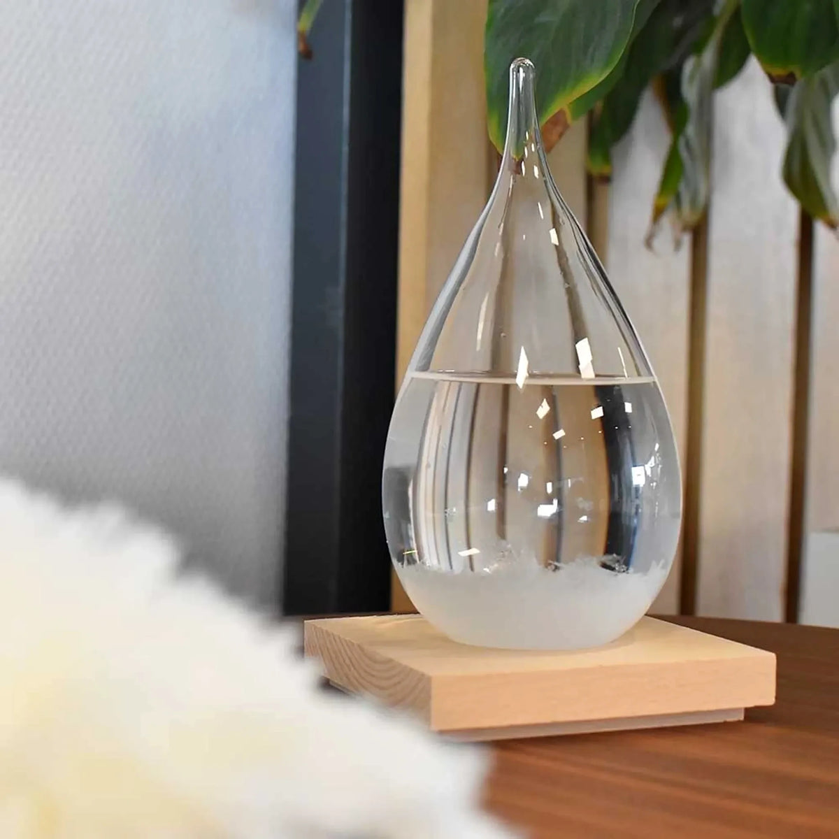 Storm glass – FitzRoy barometer