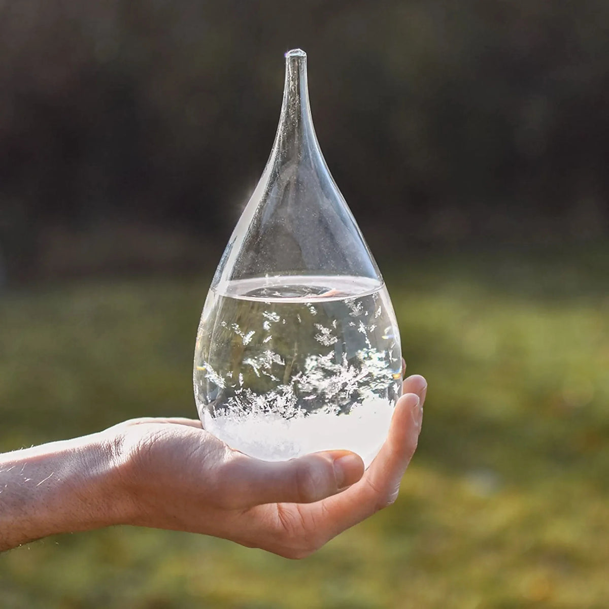 Storm glass – FitzRoy barometer